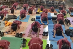 Yoga-Day-Primary-4
