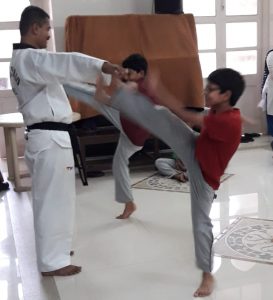 Read more about the article Taekwondo Workshop