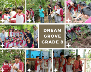 Read more about the article Social Outreach by Grade 8 – Visit to Dream Grove