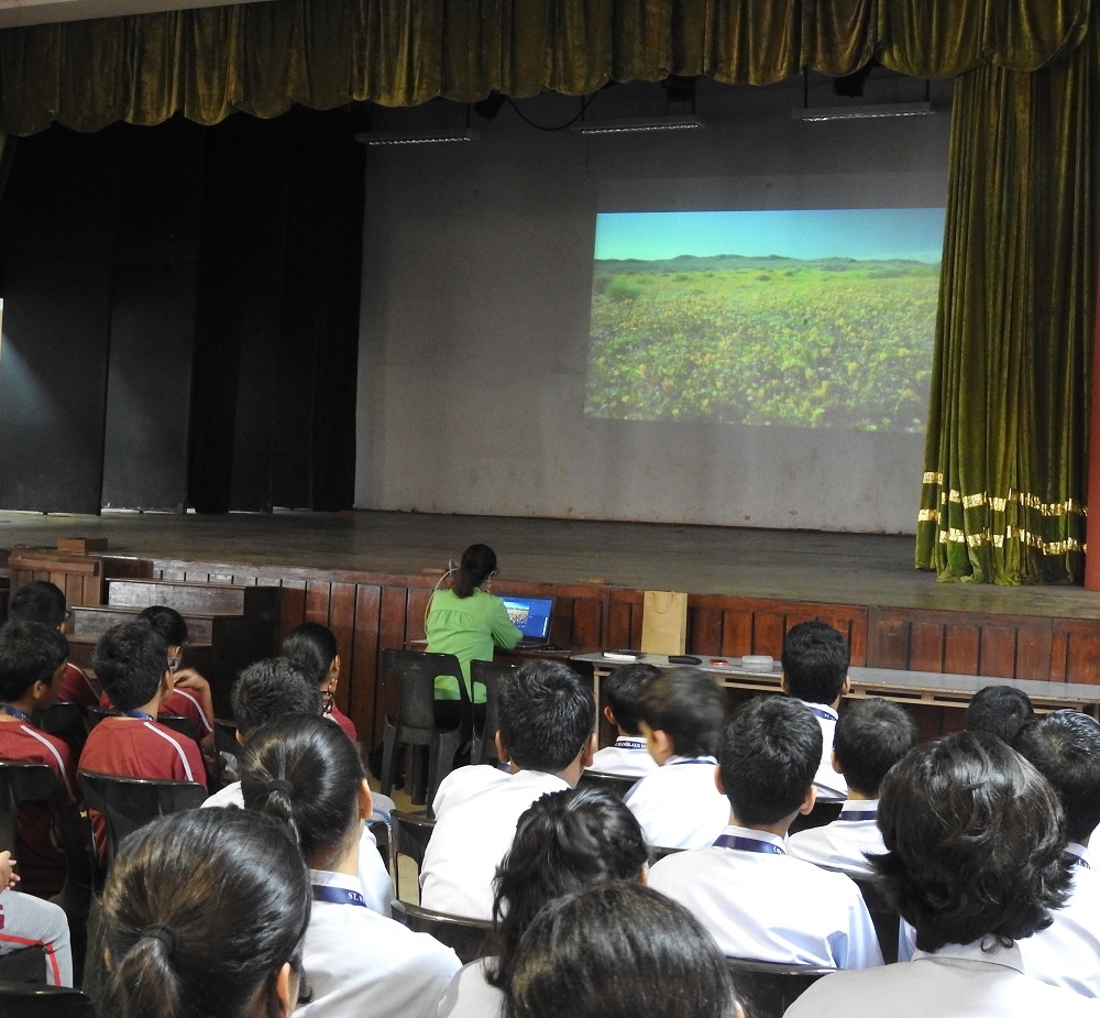 Home St Stanislaus International School